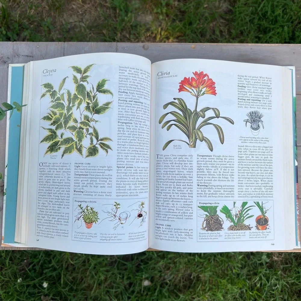 Vintage 1970s Readers Digest House Plant Coffee Table Book